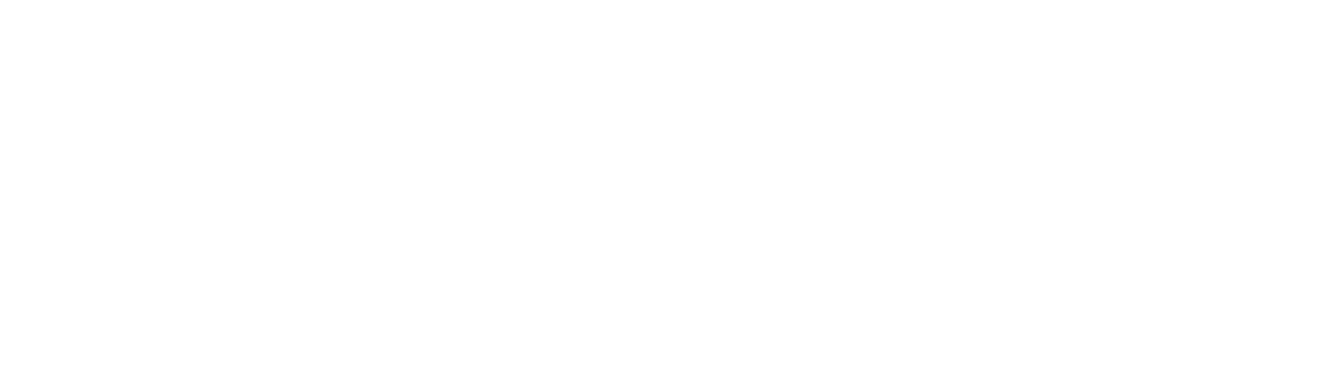 Wisora Logo